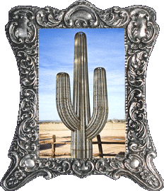 A fake cactus!