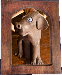 A scaredy dog! A scaredy dog!