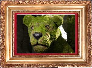A mossy lion! A mossy lion!