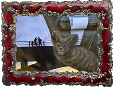 Attack of the giant bats! Attack of the giant bats!