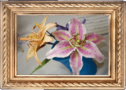 Sweet flowers! Sweet flowers!