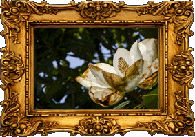 Open to the sky! Open to the sky!