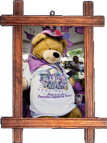 A lavender teddy! A lavender teddy!