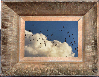 Bats in the clouds! Bats in the clouds!