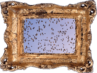 Bats fill the skies! Bats fill the skies!