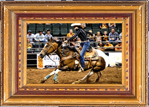 Ride 'em cowgirl! Ride 'em cowgirl!