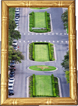 A green parkway! A green parkway!