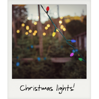 Christmas lights!