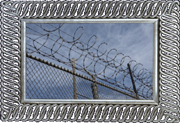 Razor wire!