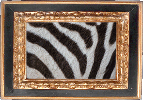 Zebra! Zebra!
