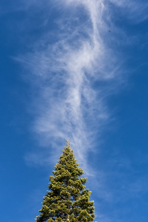 Pine tree lightning rod