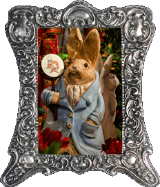 Chinese rabbits! Chinese rabbits!