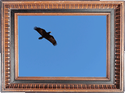 Nevermore bread! Nevermore bread!