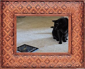 A virtual fish! A virtual fish!