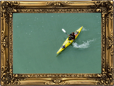 A slow day in McCovey Cove! A slow day in McCovey Cove!