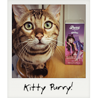 Kitty Purry!