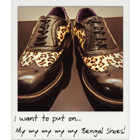 Bengal shoes!