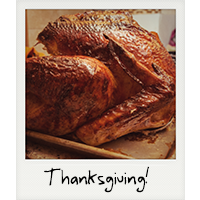 The Thanksgiving turkey!