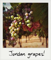 Jordan grapes!