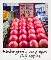 Washington's Very Own Fuji Apples! Washington's Very Own Fuji Apples!