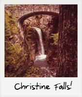 Christine Falls!