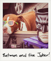 Batman and the Joker!