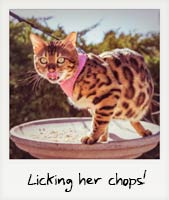 Licking her chops! Licking her chops!