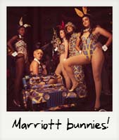 Marriott bunnies!
