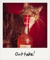 Outtake! Outtake!