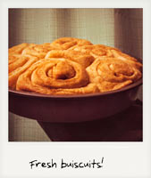 Fresh biscuits! Fresh biscuits!