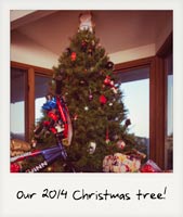 Our 2014 Christmas tree!