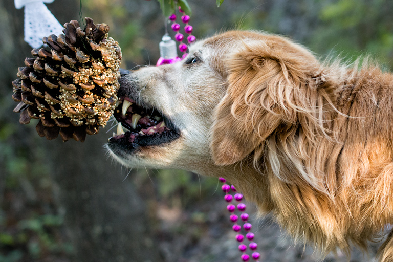 Today's Action Photo