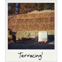 Terracing!