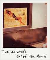 The Seahorse's Girl of the Month! The Seahorse's Girl of the Month!