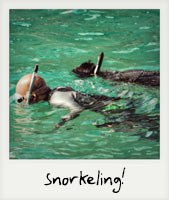 Snorkeling!