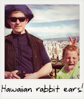 Hawaiian rabbit ears!