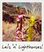 Lei's 'n' Lighthouses! Lei's 'n' Lighthouses!
