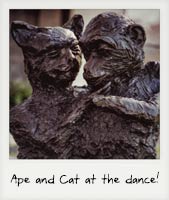 Ape and Cat at the dance! Ape and Cat at the dance!