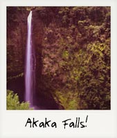 Akaka Falls!