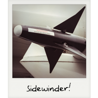 A sidewinder!
