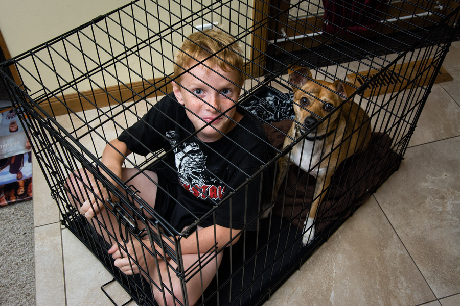 Kid and dog in crate photo