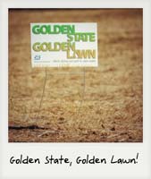 Golden State, Golden Lawn!