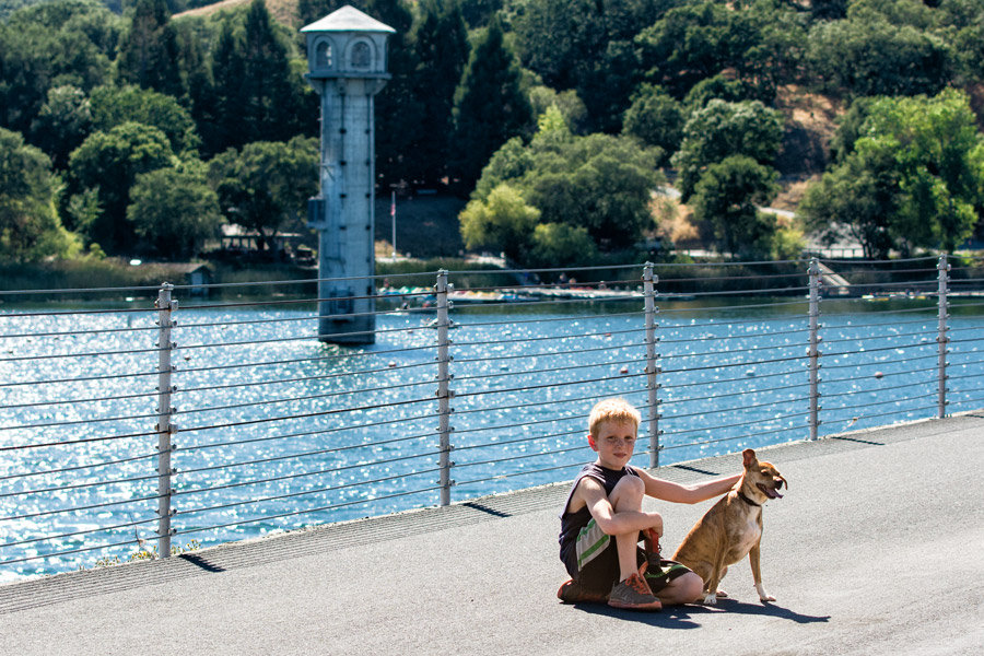 Boy and dog at Lafayette Reservoir photo