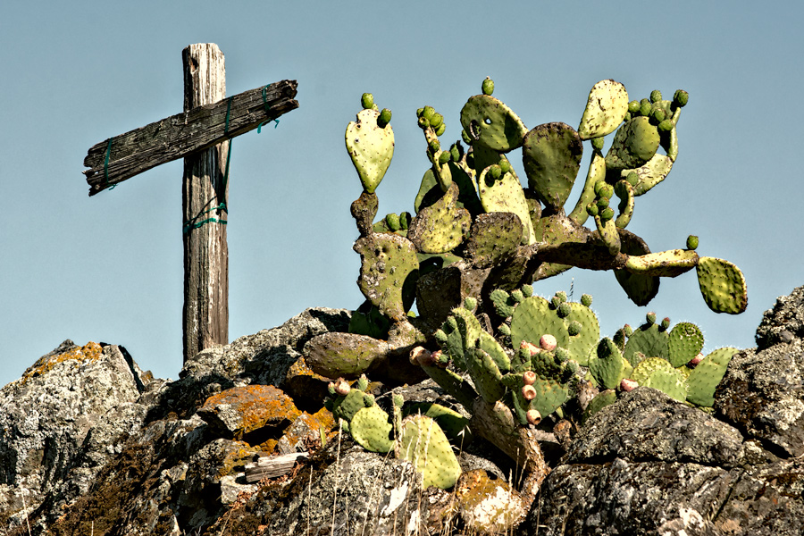 Cross and cactus photo
