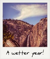 A wetter year!