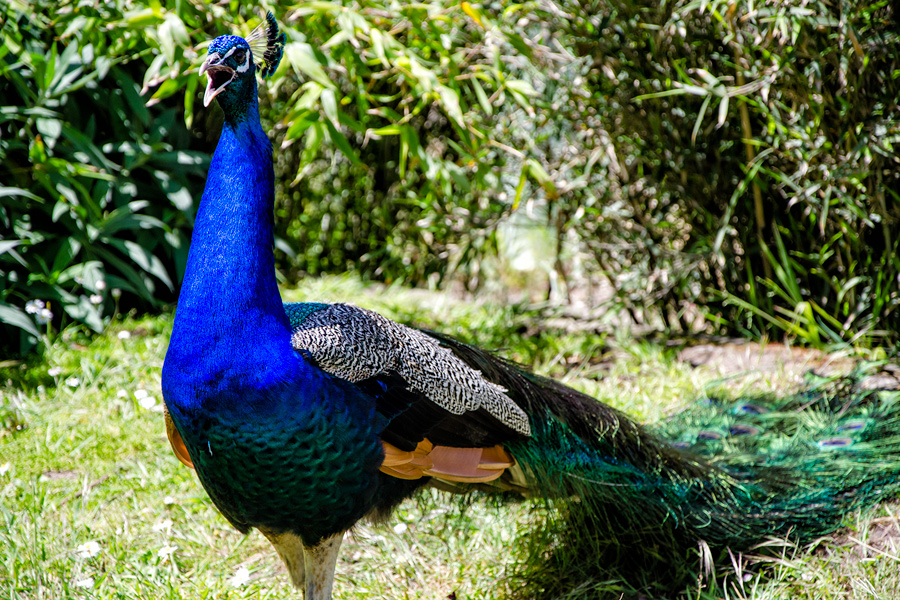 Today's Action Photo