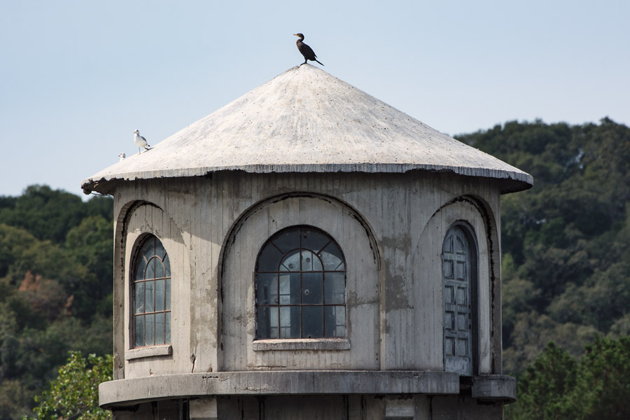 Cormorant on Lafayette Reservoir tower photo