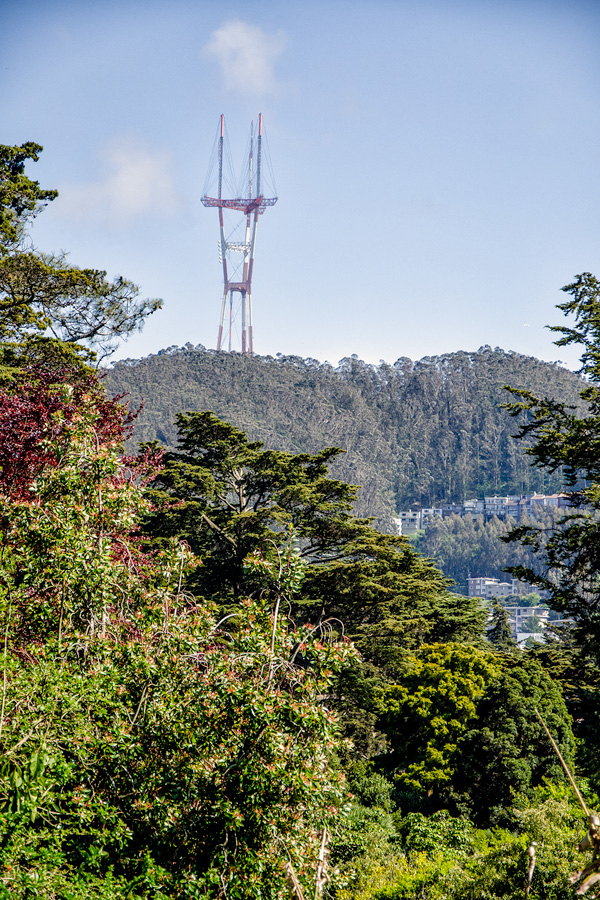 Today's Action Photo