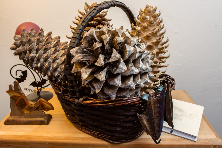 Giant pine cones in basket photo