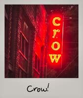 Crow!